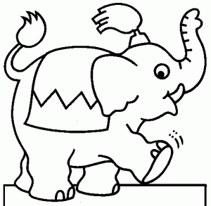 desenhos para colorir elefantes