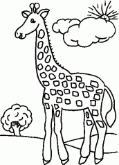desenho para colorir girafa