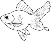 desenhos para colorir peixe
