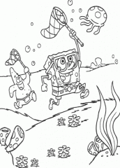 desenhos para pintar do bob esponja