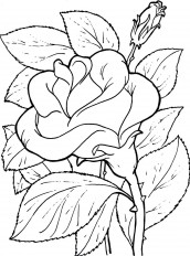 desenho de flores para colorir