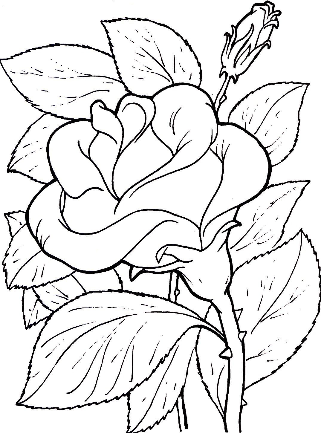 desenho de flores para colorir