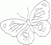 desenho de lindas borboletas colorir