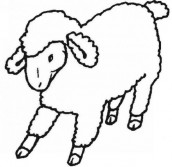 desenho de ovelha para colorir