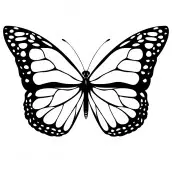 desenho para colorir borboletas