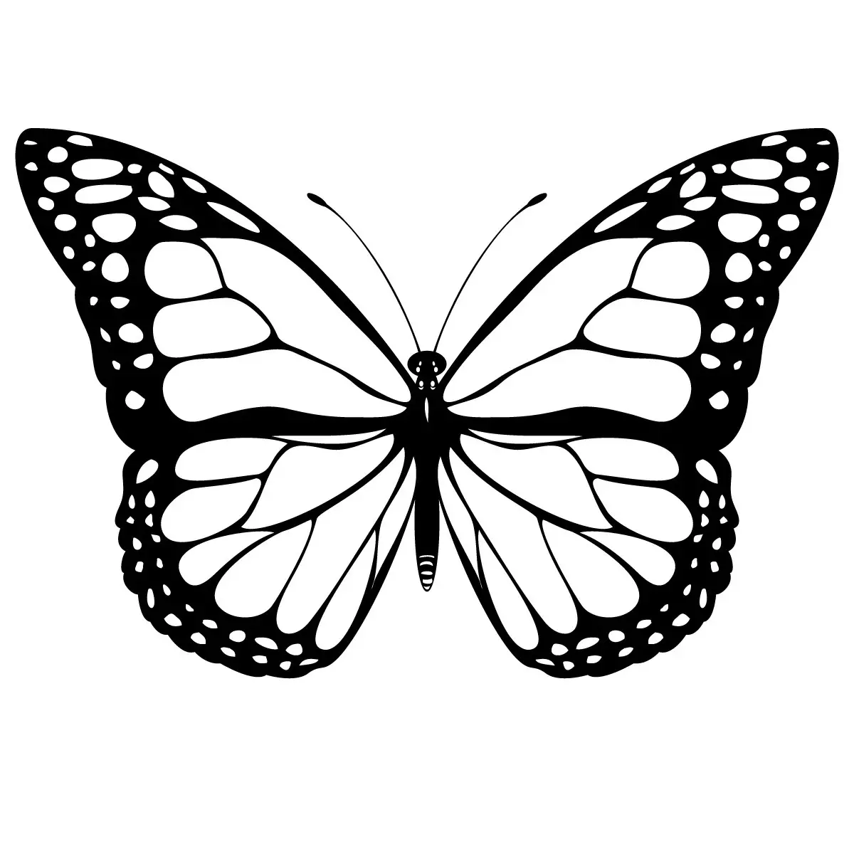 desenho para colorir borboletas