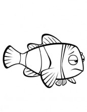 desenho para colorir nemo