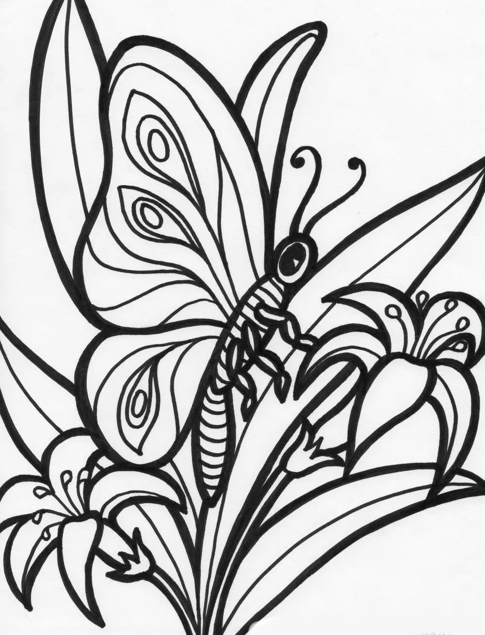 desenhos borboletas para imprimir