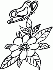 desenhos de borboletas e flores para imprimir