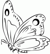 desenhos de borboletas para colorir online