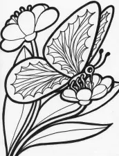 desenhos de borboletas para imprimir e colorir