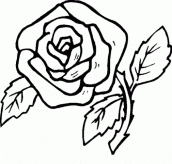 desenhos de rosas para pintar