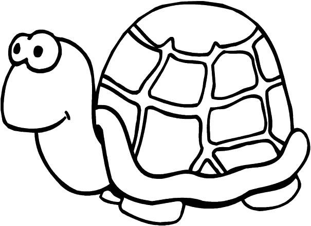 desenhos de tartaruga para colorir