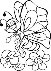 desenhos flores e borboletas