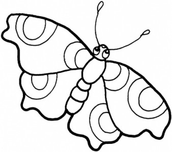 Desenhos de borboleta para colorir e imprimir