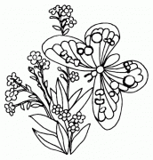 desenhos para colorir borboletas e flores