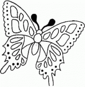 desenhos para colorir de borboleta