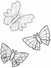 desenhos para colorir de borboletas