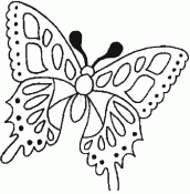 figuras de borboletas para colorir