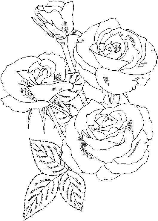 figuras de flores para colorir