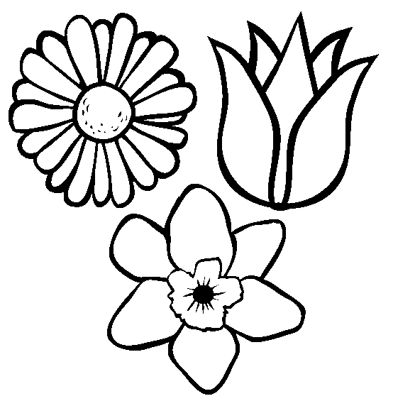 flores de pintar