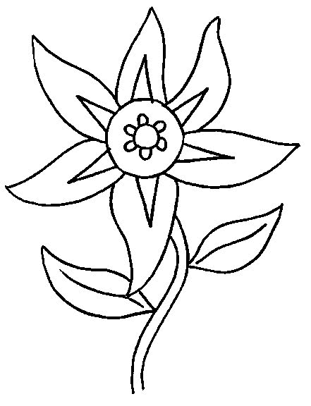 flores desenhos para pintar