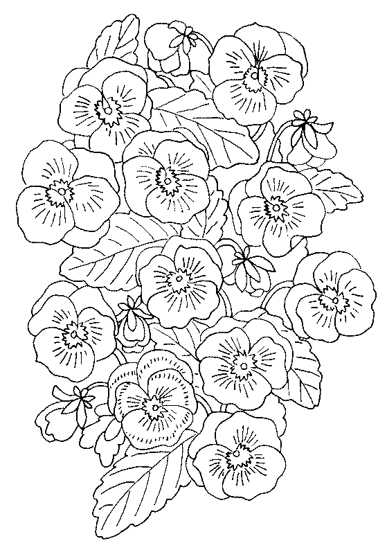 flores para pintar online