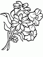 imagem de flor para colorir