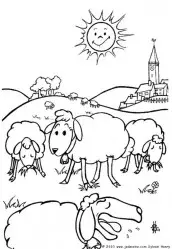imagem de ovelha para colorir