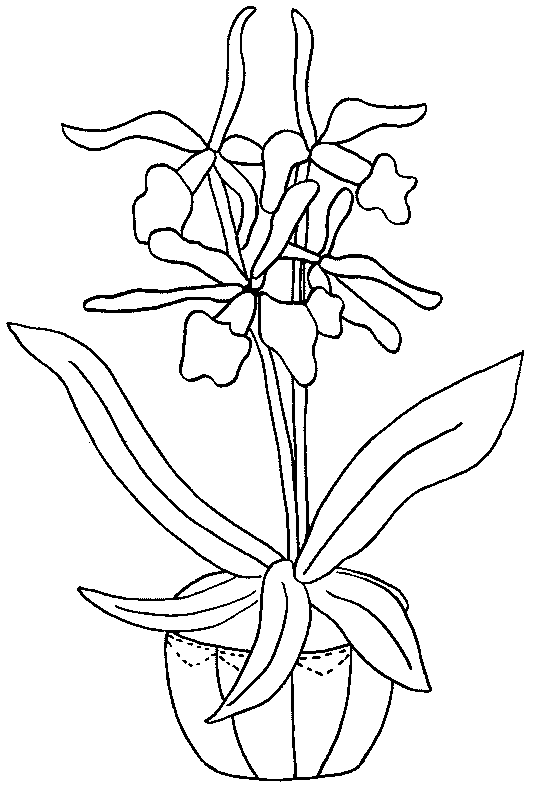 imagem para colorir de flor online