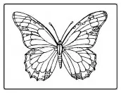 imagens de borboletas para imprimir