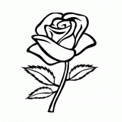 imagens de rosas para imprimir
