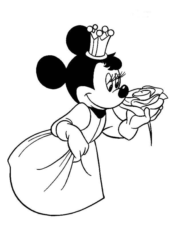 minnie colorir