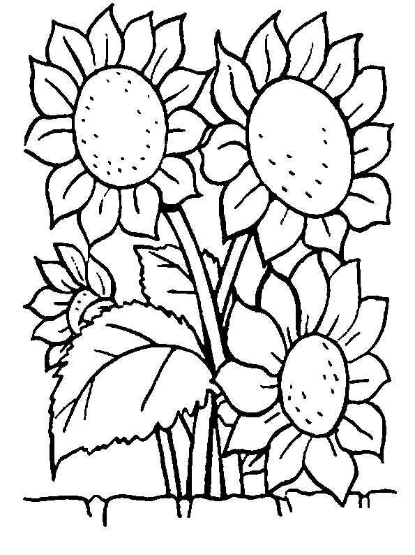 moldes de flores para colorir