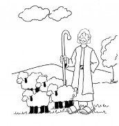 ovelha para colorir