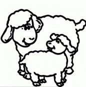 ovelha para pintar