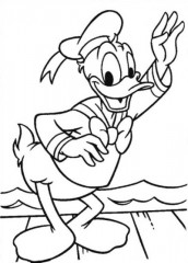 pato donald para colorir