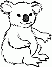 urso coala para colorir