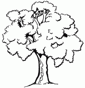Desenhos de árvore para colorir e imprimir