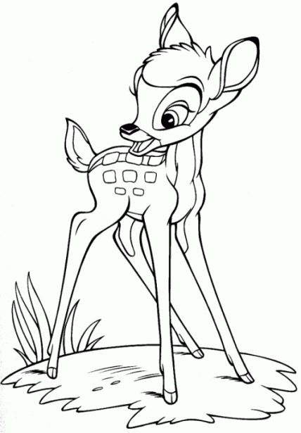 bambi pintar