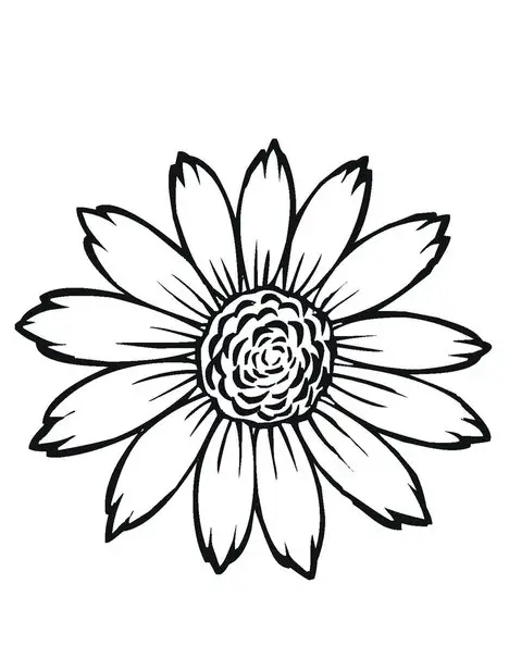 desenho flores para imprimir