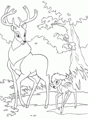 desenho para colorir bambi