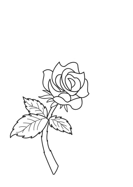desenho para colorir de flores