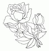 desenhos para colorir flor