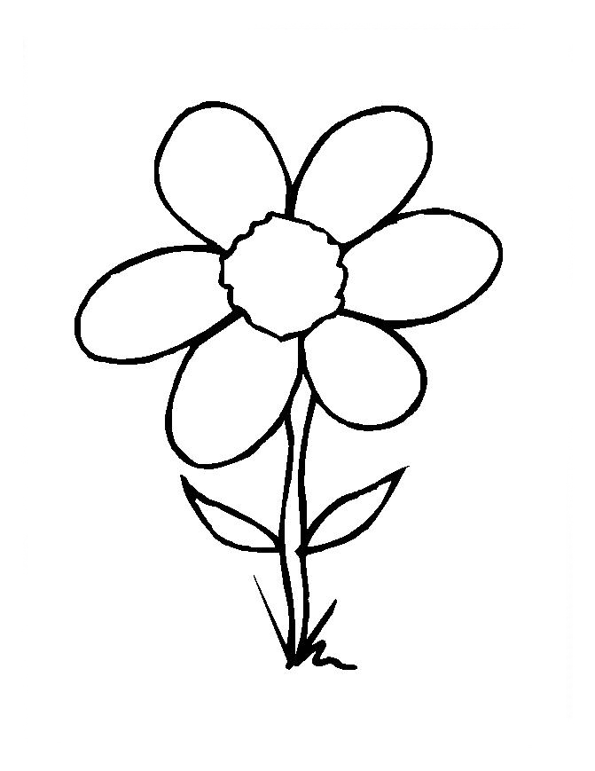 desenhos para colorir flores primavera