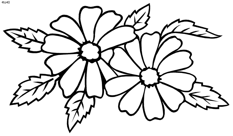 flor desenho para imprimir