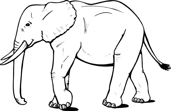 desenho de elefante para colorir