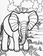 desenho para colorir elefante