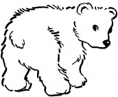 desenho para colorir urso