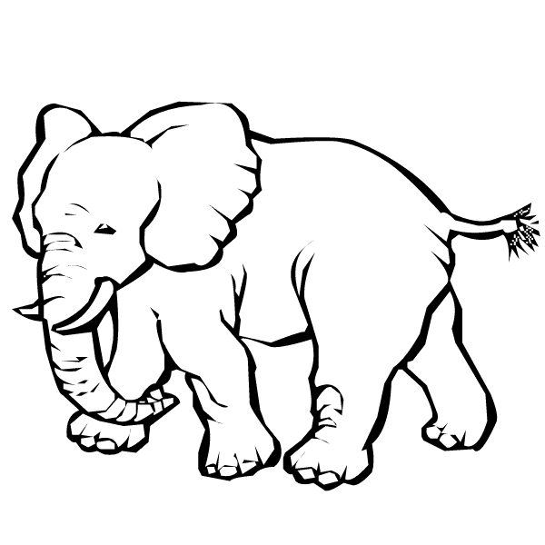 elefante para colorir